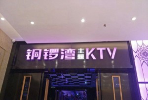 杭州KTV市场现状、趋势与机遇分析