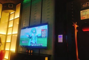 杭州KTV狗哥：城市夜生活的娱乐先锋