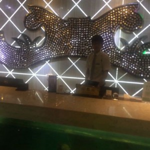 探索魔都夜生活：顶级酒吧预订指南